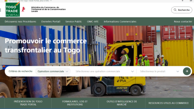Made in Togo, moteur de croissance : quand l'État propulse les transformateurs vers les sommets 